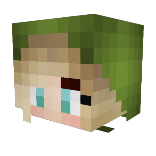 Lenore_01 Minecraft avatar head, 3D render