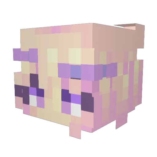 Lenou_23 Minecraft avatar head, 3D render