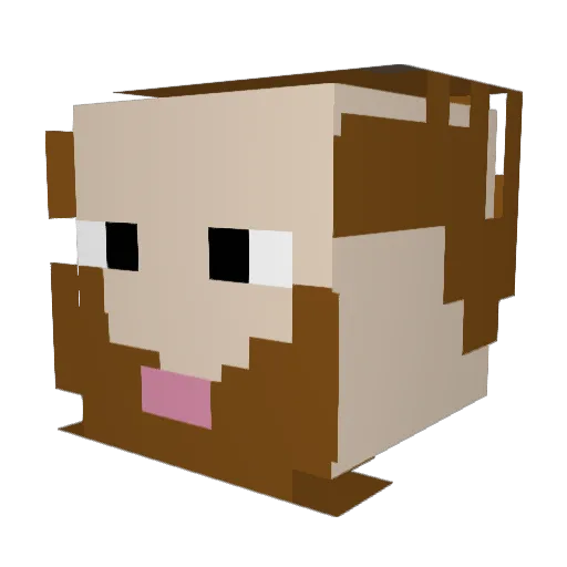 Lenox1324 Minecraft avatar head, 3D render
