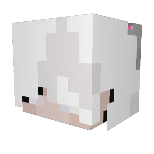 Lens_man Minecraft avatar head, 3D render