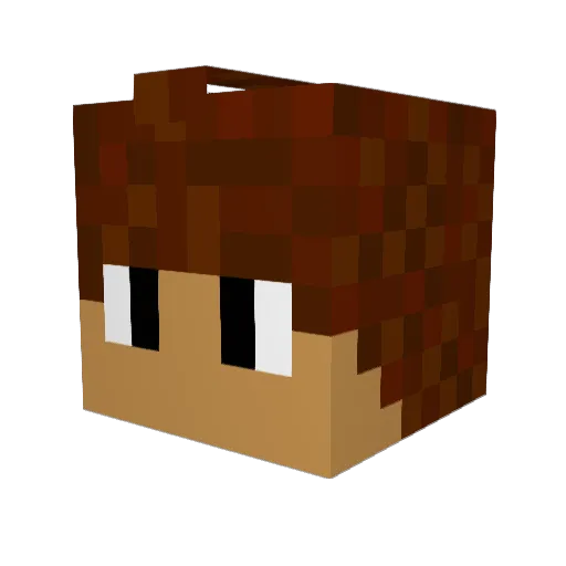 Lenssel Minecraft avatar head, 3D render