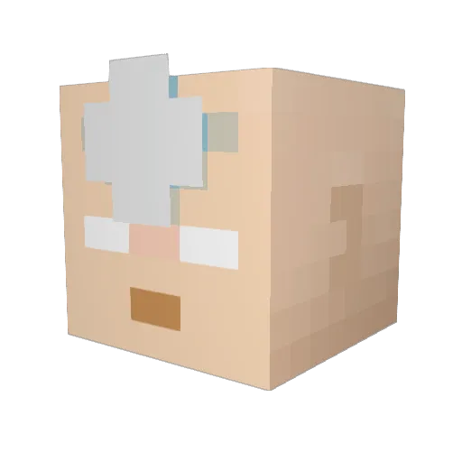 Lental11 Minecraft avatar head, 3D render