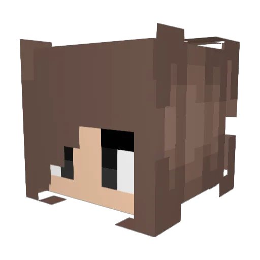 Lenteral Minecraft avatar head, 3D render