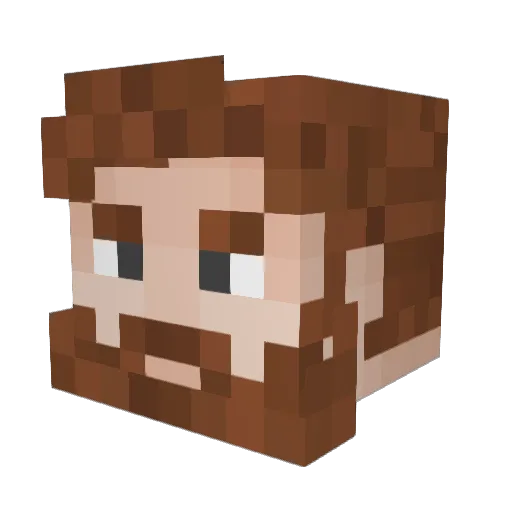Lenturnen Minecraft avatar head, 3D render