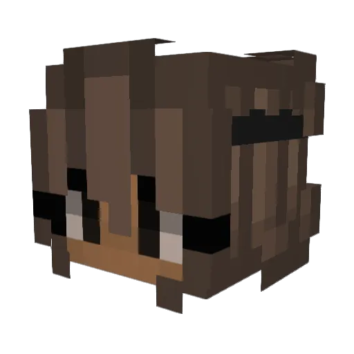 Lenula3549 Minecraft avatar head, 3D render