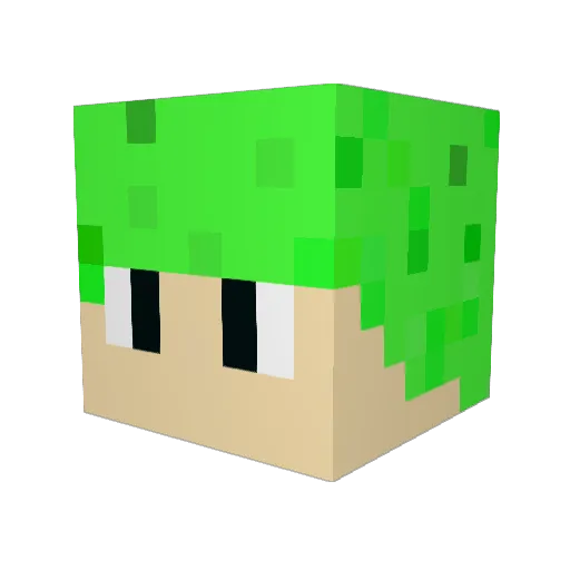 Lenze6969 Minecraft avatar head, 3D render