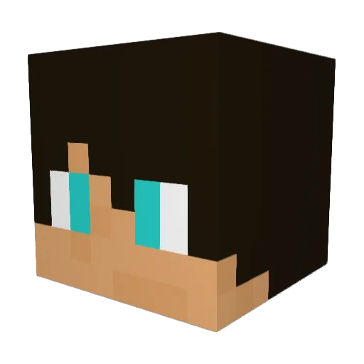 Leo0408 Minecraft avatar head, 3D render
