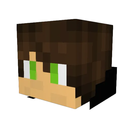 Leo3514 Minecraft avatar head, 3D render