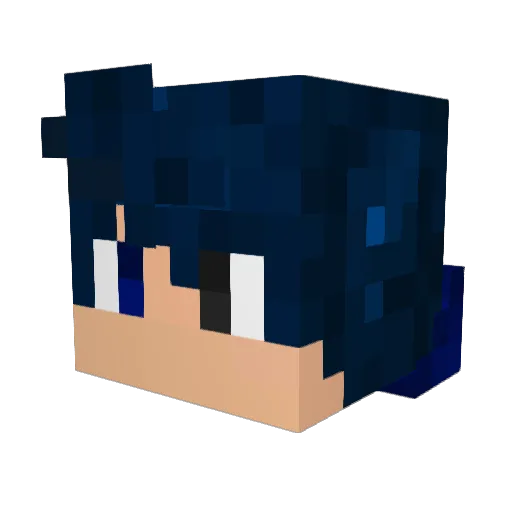 Leo5480 Minecraft avatar head, 3D render