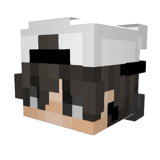 Leo5901 Minecraft avatar head, 3D render