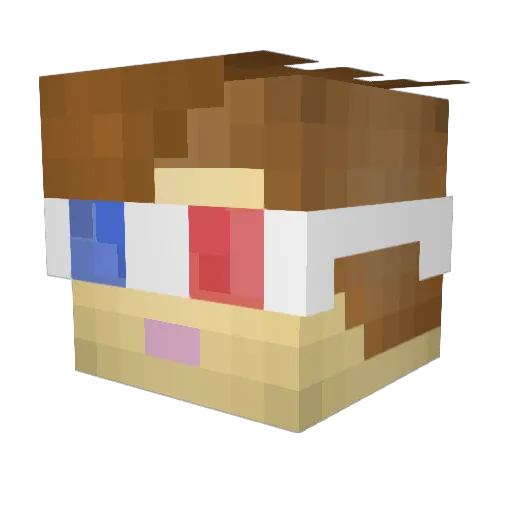 Leo7010 Minecraft avatar head, 3D render