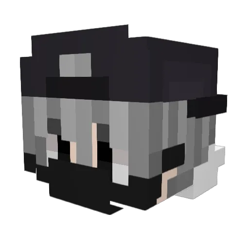 Leo9487 Minecraft avatar head, 3D render