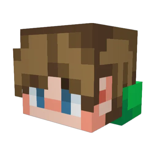 Leo951110 Minecraft avatar head, 3D render