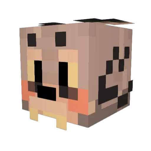 LeoAfterHours Minecraft avatar head, 3D render