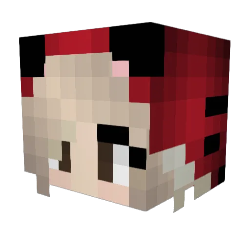 LeoAlpha14 Minecraft avatar head, 3D render