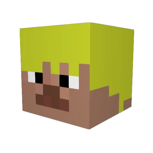 LeoCabanis Minecraft avatar head, 3D render