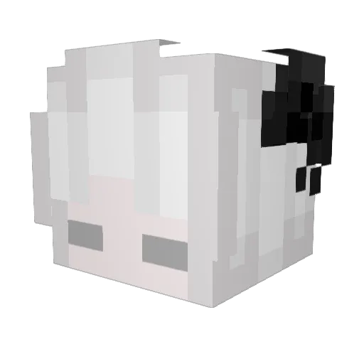 LeoChien816 Minecraft avatar head, 3D render
