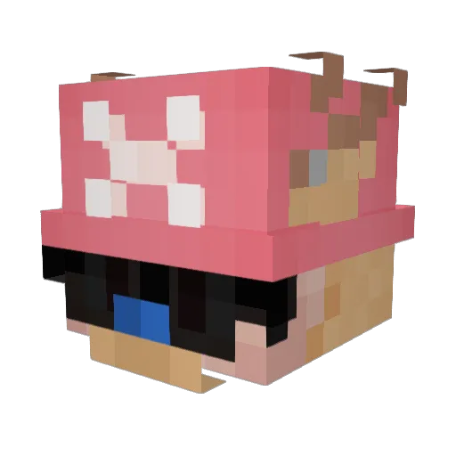 LeoCreeperGaming Minecraft avatar head, 3D render