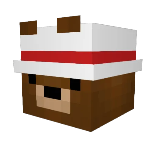 LeoDoHs Minecraft avatar head, 3D render