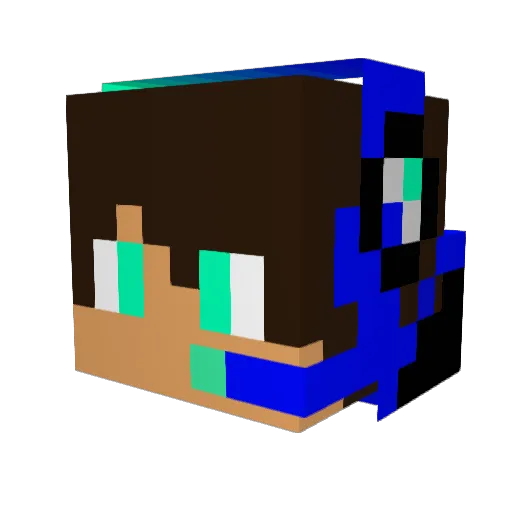 LeoFN2010 Minecraft avatar head, 3D render