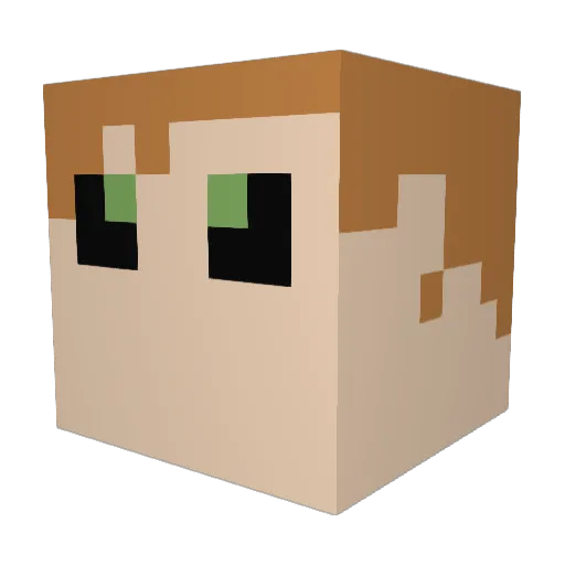 LeoFitz1987 Minecraft avatar head, 3D render