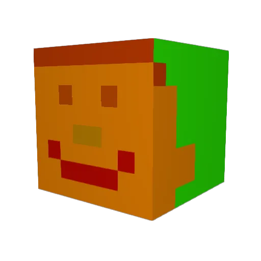 LeoFoe Minecraft avatar head, 3D render