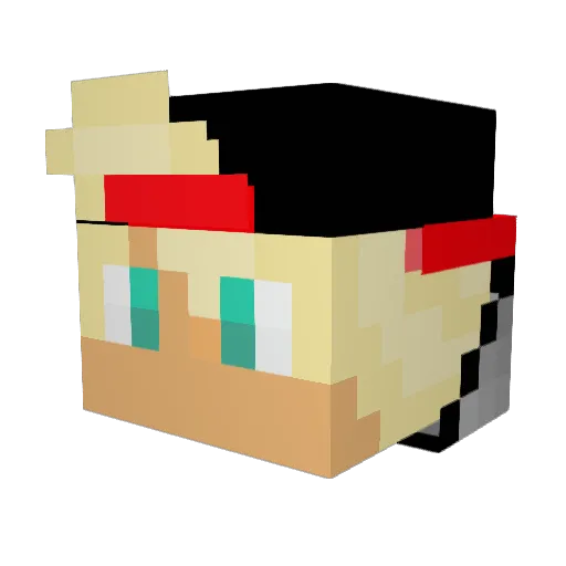 LeoGamer1342 Minecraft avatar head, 3D render