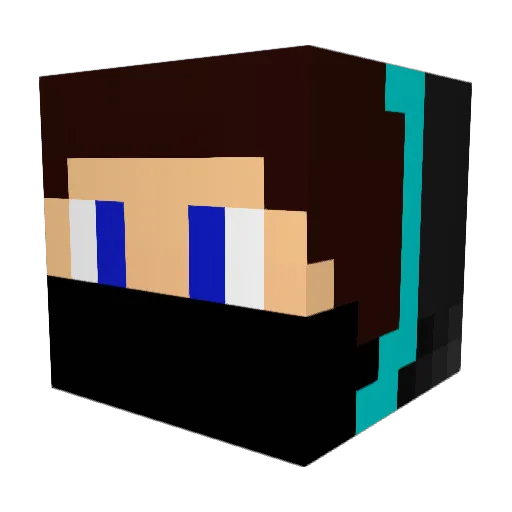 LeoGamer500 Minecraft avatar head, 3D render