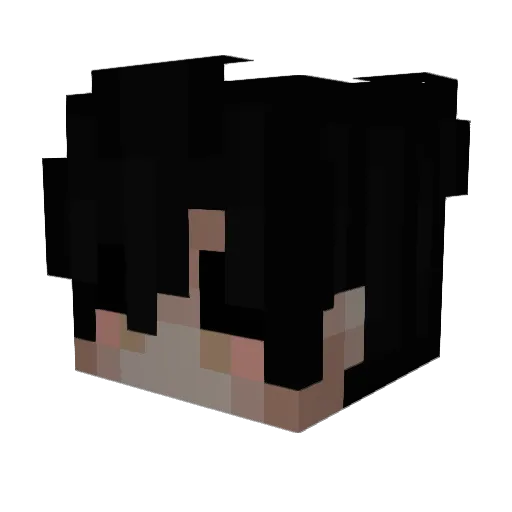 LeoGrasu Minecraft avatar head, 3D render