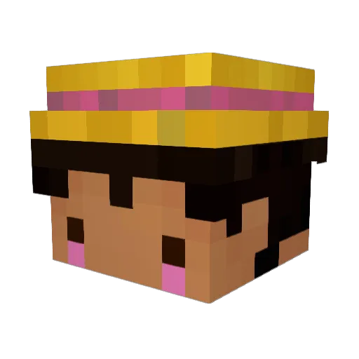 LeoIsWho Minecraft avatar head, 3D render