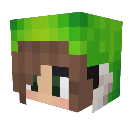 LeoLoewe2003 Minecraft avatar head, 3D render