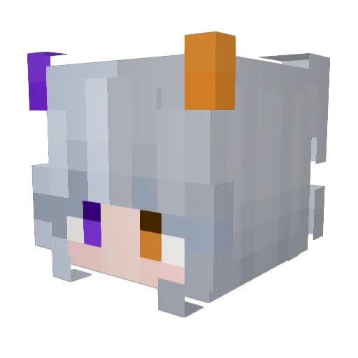 Minecraft-Avatar von LeoLookout: Kopf als 3D-Render