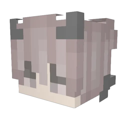 LeoLovesRocket Minecraft avatar head, 3D render