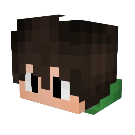 LeoMaster902 Minecraft avatar head, 3D render
