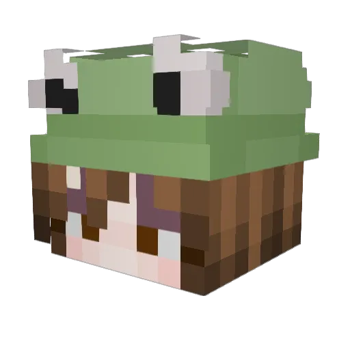 LeoNel3653 Minecraft avatar head, 3D render