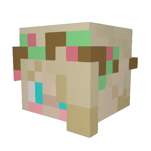 LeoNevermore Minecraft avatar head, 3D render