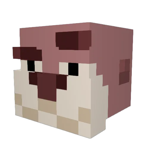 LeoPapu6438 Minecraft avatar head, 3D render