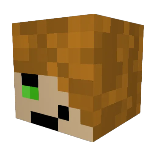 LeoPlayzMC101 Minecraft avatar head, 3D render