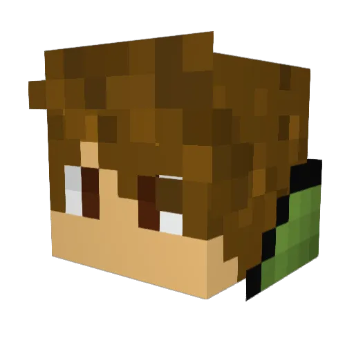 LeoRio333 Minecraft avatar head, 3D render