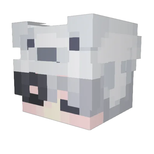 LeoRz_0 Minecraft avatar head, 3D render