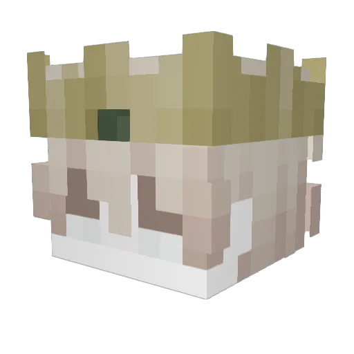 LeoSPro27 Minecraft avatar head, 3D render