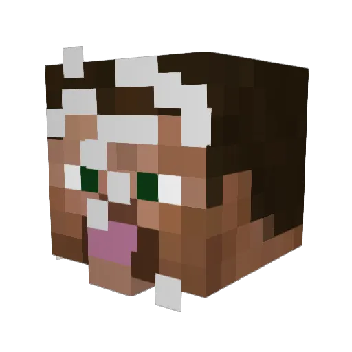 LeoSch03 Minecraft avatar head, 3D render