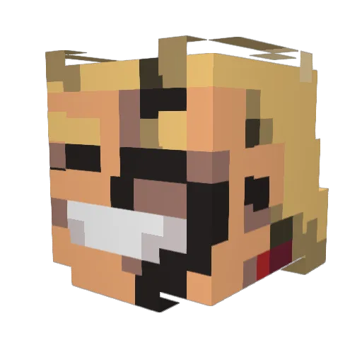 LeoSenpai21 Minecraft avatar head, 3D render