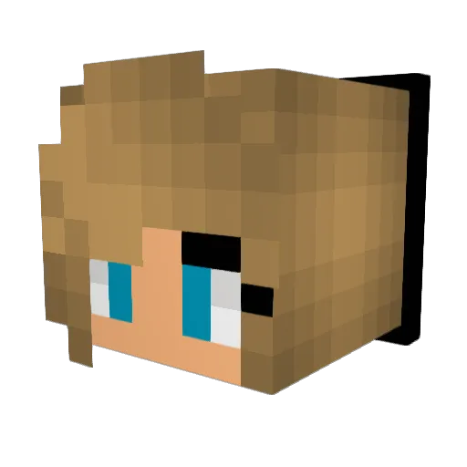 LeoSun13 Minecraft avatar head, 3D render