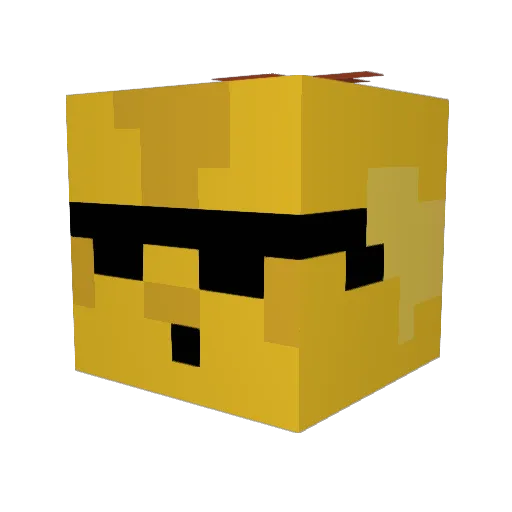 LeoTheBird01 Minecraft avatar head, 3D render
