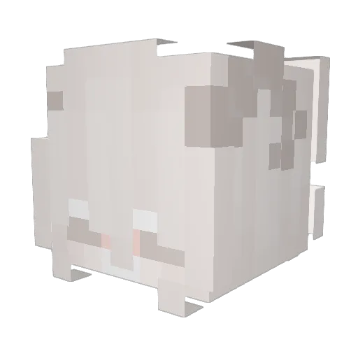 LeoXD2121 Minecraft avatar head, 3D render