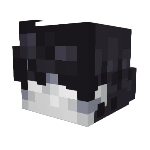 Leo_024 Minecraft avatar head, 3D render