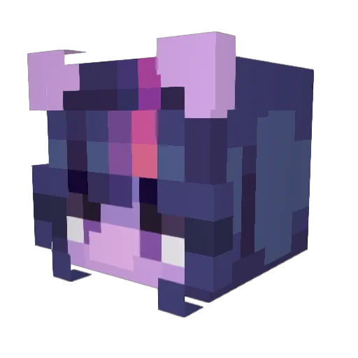 Leo_0813 Minecraft avatar head, 3D render