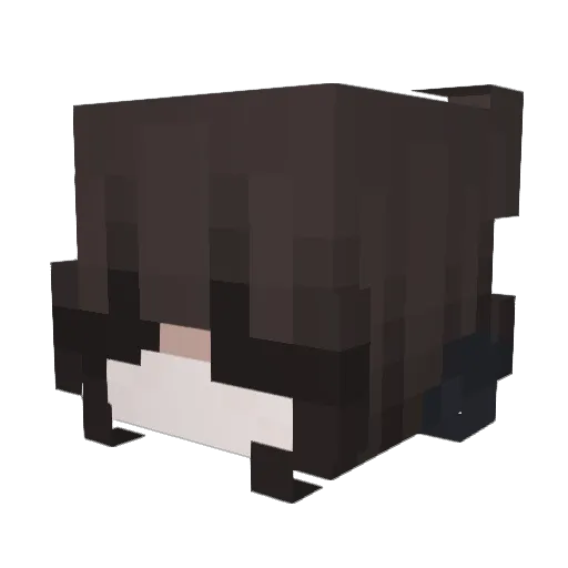 Leo_2626 Minecraft avatar head, 3D render