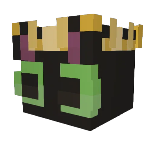 Leo_2811 Minecraft avatar head, 3D render